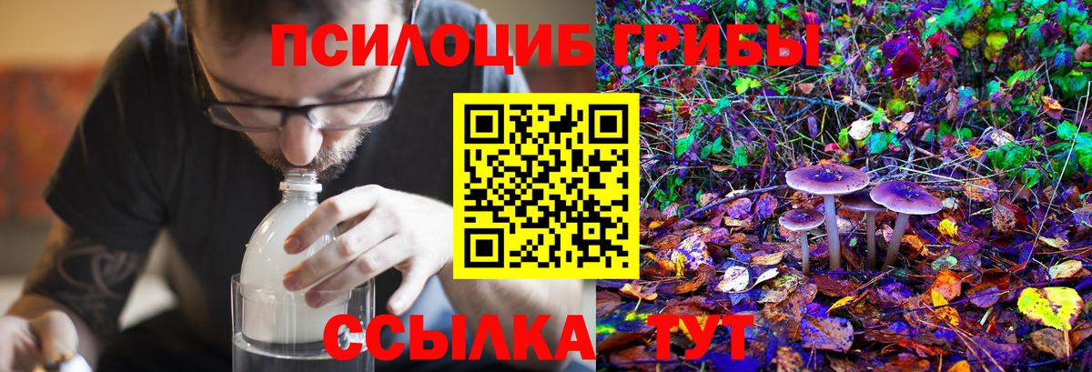 Псилоцибиновые грибы ЛСД  что такое   Шадринск  Псилоцибиновые грибы Cubensis  Вход с VPN 